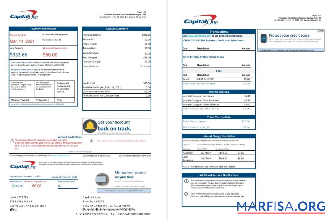 Realistic USA Capital One bank statement excel (2 pages) version 3 example